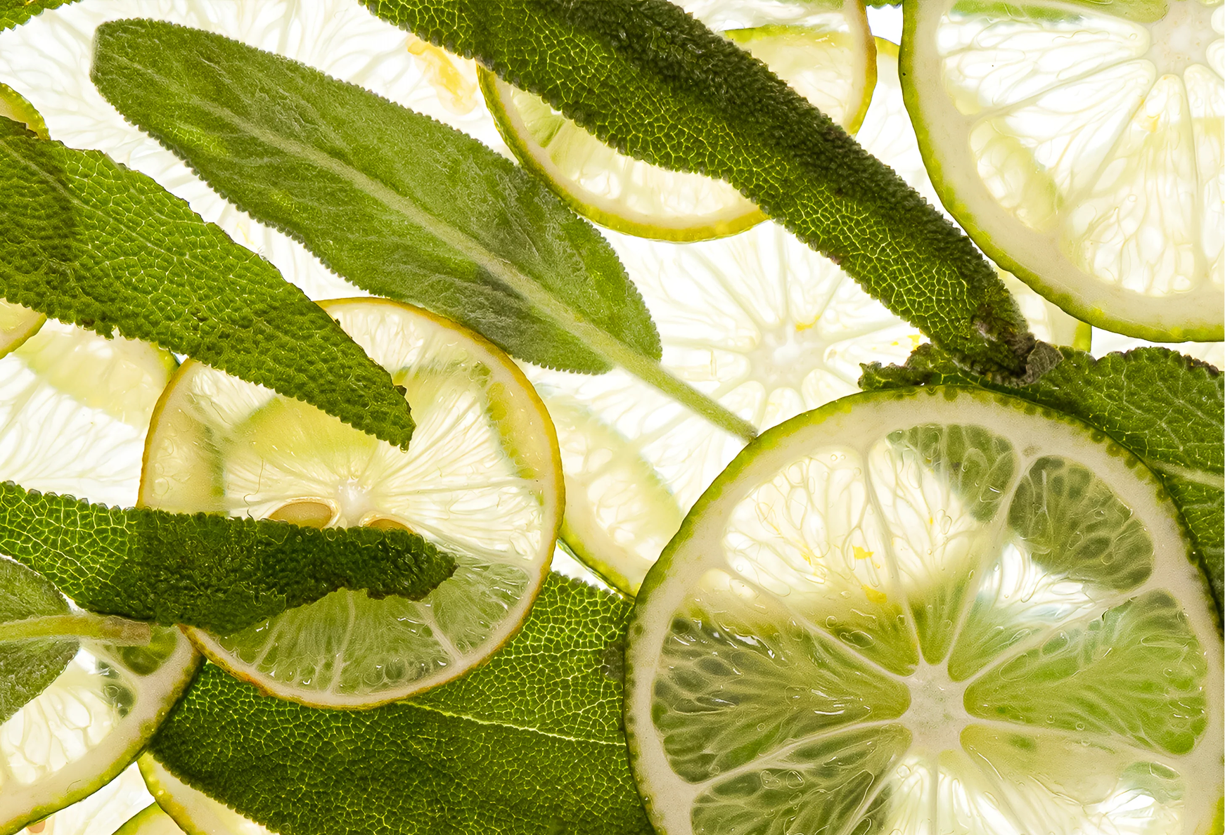 Adaptogens 101: The Calm Behind the Ritual